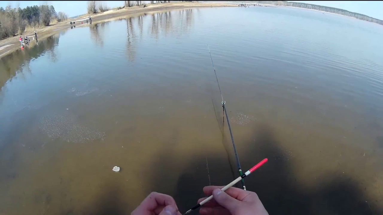 ПОПЛАВОК!СЕЗОН ЖИДКОЙ ВОДЫ!В ФИЛЬМЕ СНИМАЛИСЬ-ЯЗЬ,СОРОГА,КРАСНОПЁРКА,СЕНТЯ,ГУСТЕРА И ДРУГИЕ ! смотреть онлайн