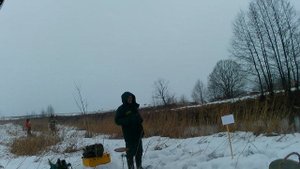 Межрегиональные испытания подсадных уток 2023