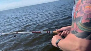 Как же тяжело вытащить судака из воды.