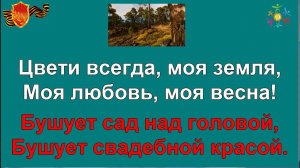 ЦВЕТИ ЗЕМЛЯ МОЯ караоке минусовка