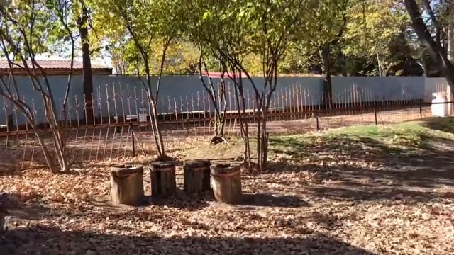 Детский Парк Симферополь.Крым смотреть онлайн