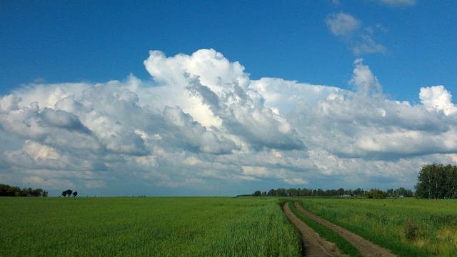 430 Вера от слышания, а слышание от слова Божия - Василий Савич