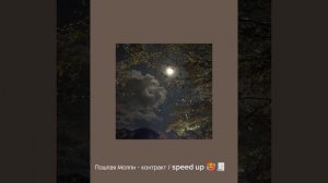 5 песен- летнего вайба✨🌹 ( все песни speed up!) приятного просмотра ✨💕