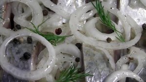 Селедка каспийская, залом! И деликатесы из неё. Пряная слабосоленая  и провесная.