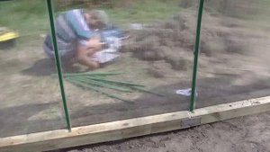 Монтаж теплицы Арочная 3М.