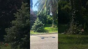 Гагра Амза отель территория