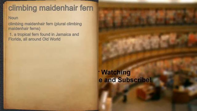 What does climbing maidenhair fern mean? смотреть онлайн