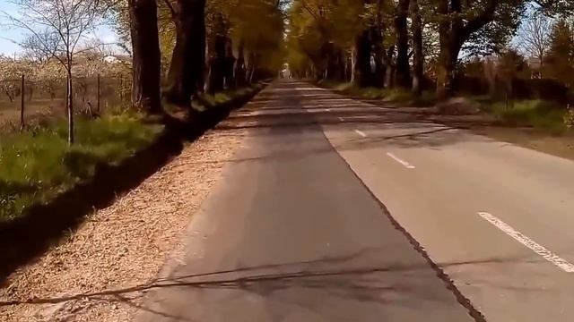 1 МАЯ В ПОЛЬШЕ | В ПОИСКАХ ЛИПОВОЙ АЛЛЕИ | Kampinoski Park Narodowy