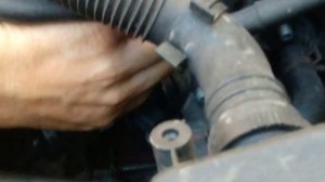 Audi a3 8l заміна термостата