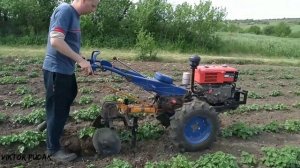 Окучивание картофеля мотоблоком Сцепка из плуга
