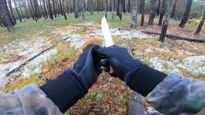 За белыми грибами, Сургутский р-н, ХМАО-ЮГРА