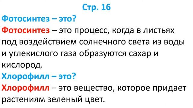 как работают листья смотреть онлайн