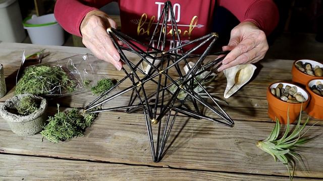 Air Plants Care & Displaying Air Plants - Hypertufa Makes Great Air Plant Holder смотреть онлайн