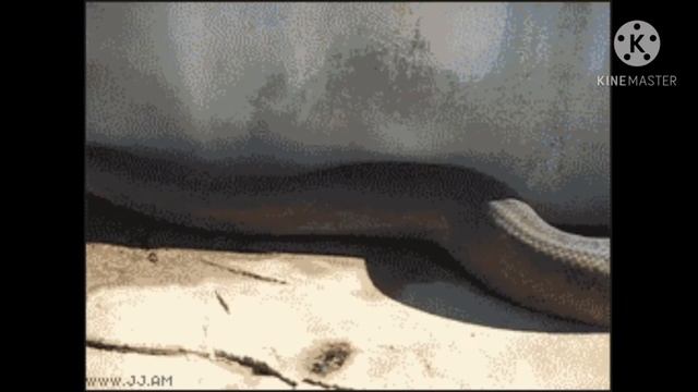 ЧТО ТАКОЕ БАН И КАК ЕГО ИЗБЕЖАТЬ? смотреть онлайн