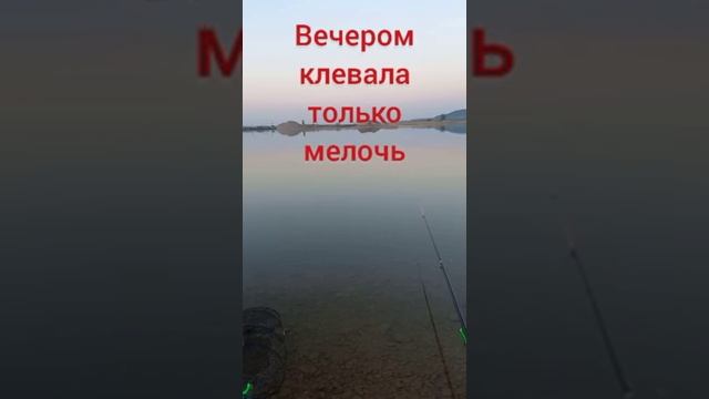 Рыбалка на дым тамакском карьере. Татарстан