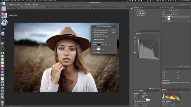Which Photoshop Auto Tone Algorithm Should I Use смотреть онлайн