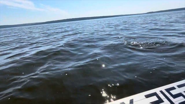 Ээх это был сом 70+.. Тренировки к турниру Волжская Заруба. Рыбалка на Чебоксарском водохранилище.