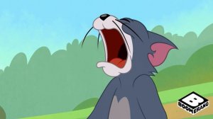 Tom and Jerry in New York - Coffin Dance Song (COVER)