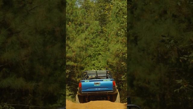 Do you own a Tacoma? This video is for you.. enjoy ? смотреть онлайн