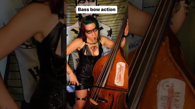 Demonica Does: Amon Amarth | Live for the Kill on upright bass