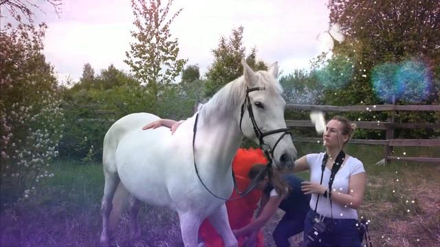Конная фотосессия |  Фотосессия с лошадьми | Одежда для фотосессии с лошадками