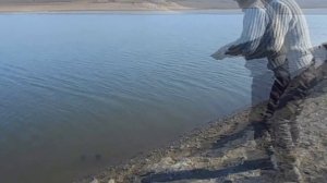 Симферопольское водохранилище щука 4.КГ.