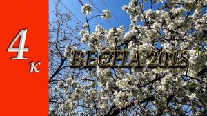 Весна 2018