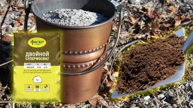 СЕКРЕТЫ посадки моркови под зиму ? Подготовка грядок. Какой сорт моркови сеять под зиму?