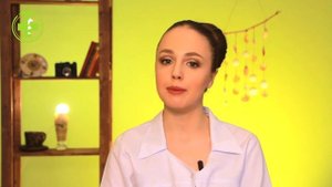 Топ-9 Собак, Которые Уживутся С Кошкой & Какую Собаку Выбрать, Если Есть Кошка. Ветклиника Био-Вет