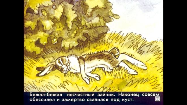 Диафильм Сказка про храброго зайца /по Д.Мамину-Сибиряку для детских садов/ смотреть онлайн