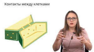 КЛЕТКА РАСТЕНИЯ | Клеточная стенка, вакуоль и пластиды | ЕГЭ-2024 по биологии
