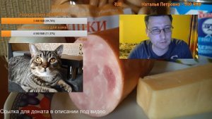 Чем нельзя кормить собаку/кошку? Опасные и вредные продукты для домашних животных