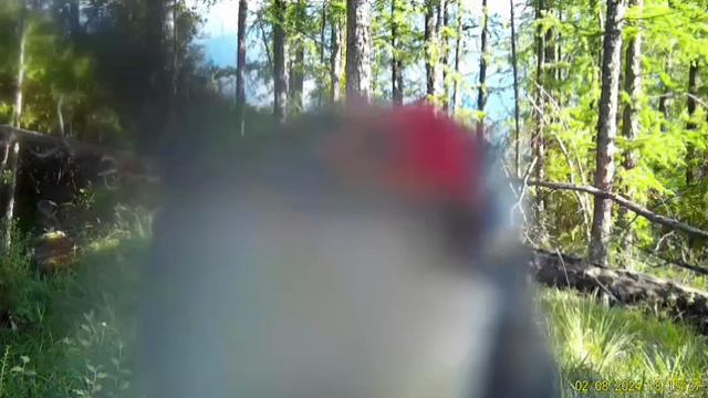 Пернатый вандал