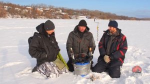 Ловля окуня на зимние самодельные блесны