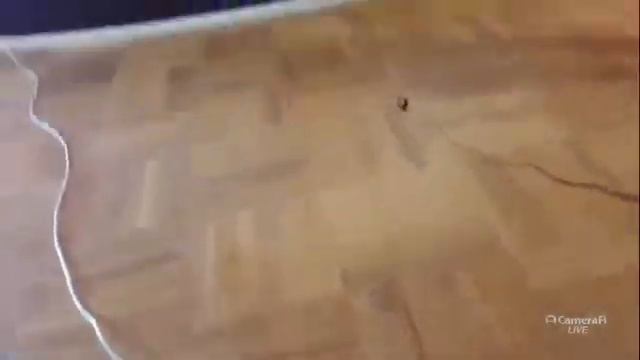 Священная Ганга. Вальмики дас