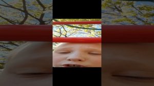 Браво обзор