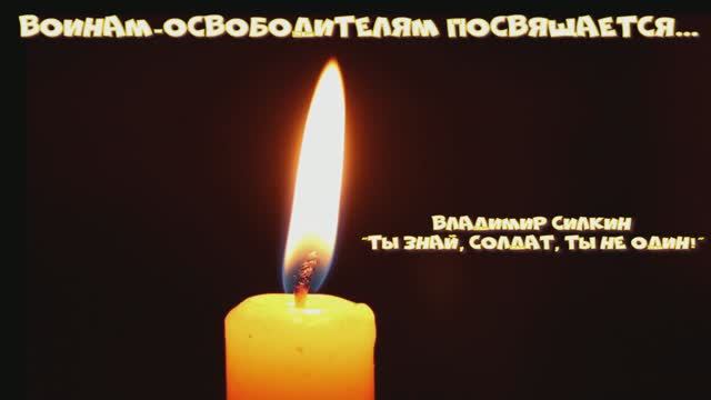 Владимир Силкин "Ты знай, солдат, ты не один!"