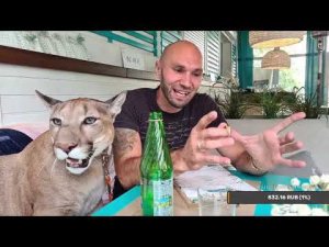 Прямой эфир. Холодный летний день