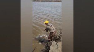 На резинку поймали Ауху. Обкатка лодочного мотора  Hidea 9.9 PRO  на лодке Solar 420 jet.