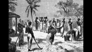 Светлана Данилюк "Святой остров" _ Зара Левина