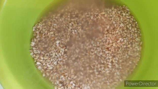 Вкусная перловка ? как ПРИГОТОВИТЬ перловку, да ОЧЕНЬ просто☺️ Перловка с мясом и морковью ???