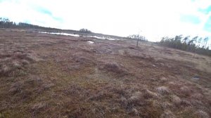 ОХОТА НА ГУСЯ С МАНКОМ И ЧУЧЕЛАМИ  / ВЕСЕННЯЯ ОХОТА 2021