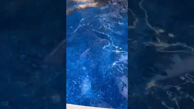 Бассейн Лагуна, 3,66 на 1,25 см итог спустя 3 недели смотреть онлайн