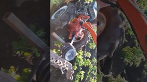 Окучивание дисковым окучником. Мотоблок Агро.