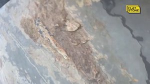 Каменный шпон Flat Stone - Сланец Autumn Rustic