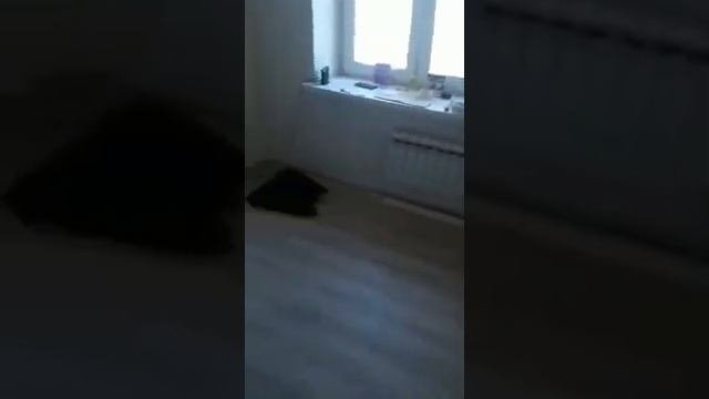 Ремонт комнаты