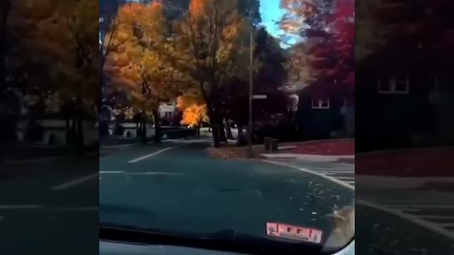 《...а ты живи...》🥀 смотреть онлайн