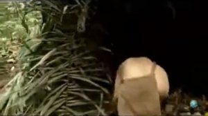 Episode 1 Naked and afraid.