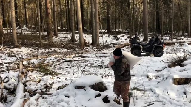 Солонец для лося , оленя смотреть онлайн