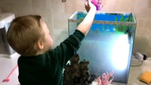 Детский блог. Как Никита решил завести рыбок. (можно использовать, как инструкцию)